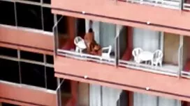 برونو با مشاعره بزرگ ...