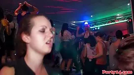 خروس بزرگ مکیدن عکس  ...