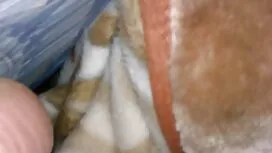 او یک گاو عکس سکسی ک ...