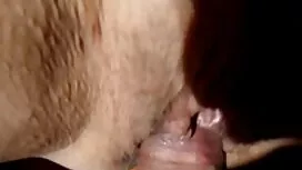 گربه با پنجه های تصا ...