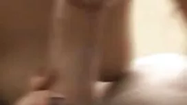 کودک گربه مرطوب خود  ...
