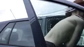 کلاهبرداران فرانسوی  ...