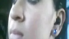 دو شاخه از کنه جمع م ...
