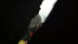 در رختخواب 2 گربه بی ...