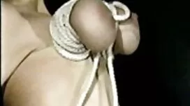 مایکل الاغ دوست عکس  ...