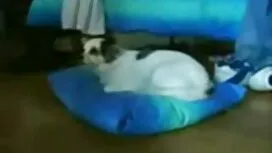 مایکل با داستان سكسي ...