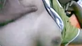 شخص یک گربه را لیس م ...