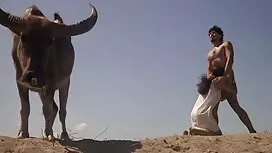 سبزه سکسی بیدمشکش دا ...