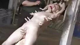 بلوند نه عکس وفیلم ک ...