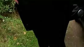 او می خواهد دختران خ ...